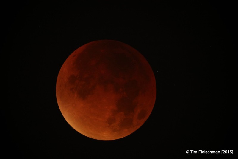 The blood red moon was seen by many in the UK as the skies were clear in many areas.