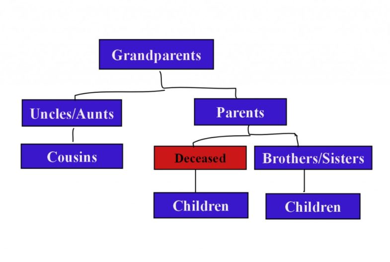 A diagram of the main relatives that can claim on a Bona Vacantia estate.